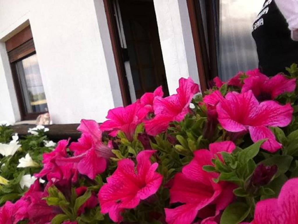 Guesthouse Magdalena Rakovica Phòng bức ảnh